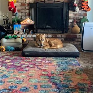 Meet your Posher, Matthew